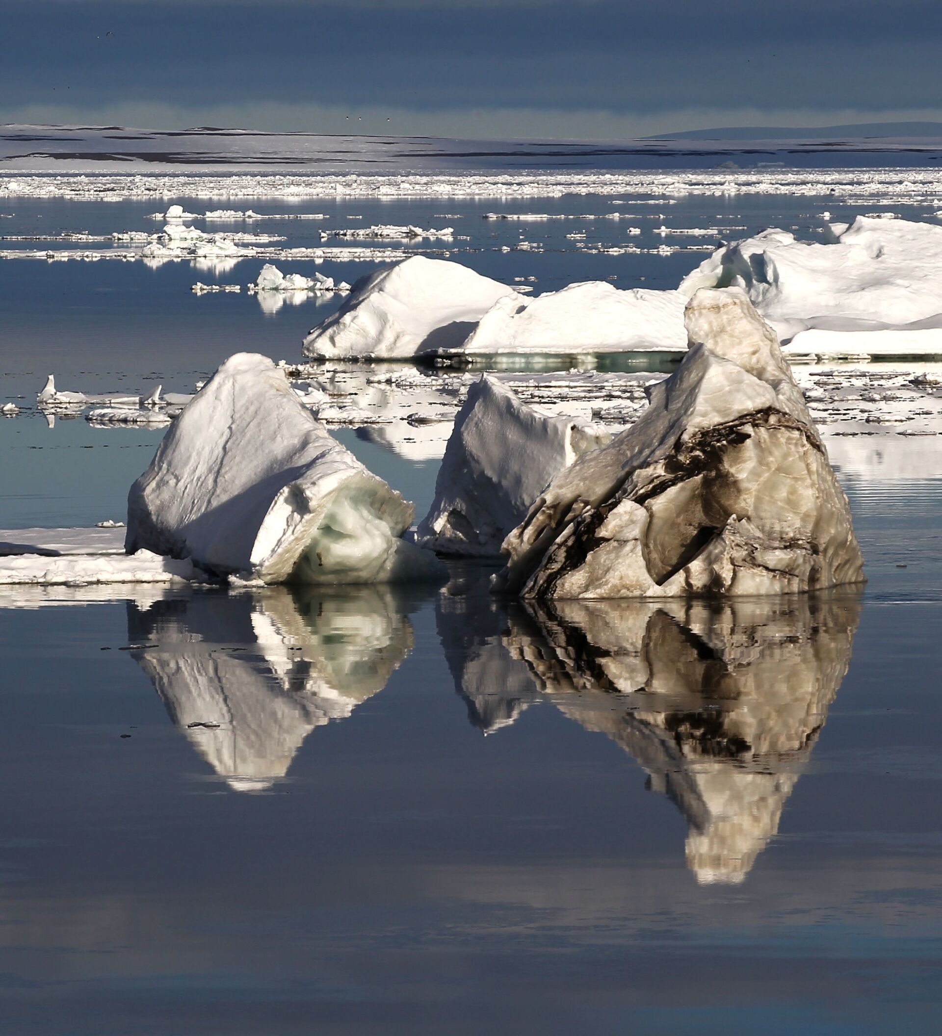 Russian arctic. Национальный парк русская Арктика. Национальный парк земля Франца Иосифа. Национальный парк «русская Арктика» тундра. ЗФИ Арктика.