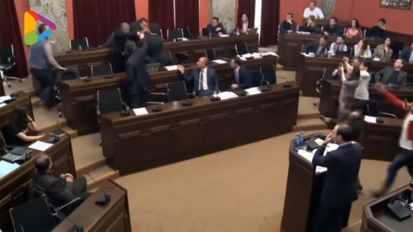 Драка в парламенте Грузии (18 марта 2019). Тбилиси - Sputnik Армения