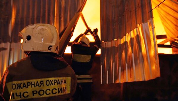Пожар на складе кормов для животных на западе Москвы - Sputnik Армения