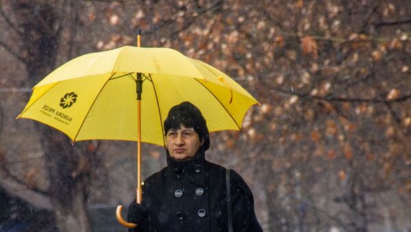 Дождливая погода - Sputnik Армения