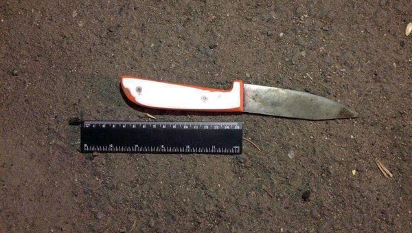 Обнаруженный нож на месте увийства - Sputnik Արմենիա