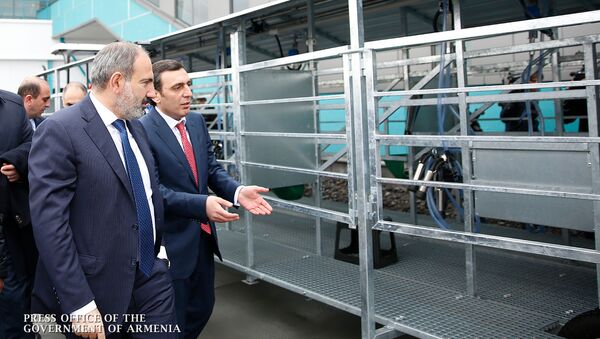 Премьер-министр Никол Пашинян принял участие на торжественном открытии молочного завода компании Спайка (26 марта 2019). Еревaн - Sputnik Армения