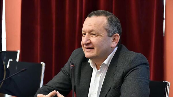 Депутат парламента Грузии Давид Чичинадзе - Sputnik Армения