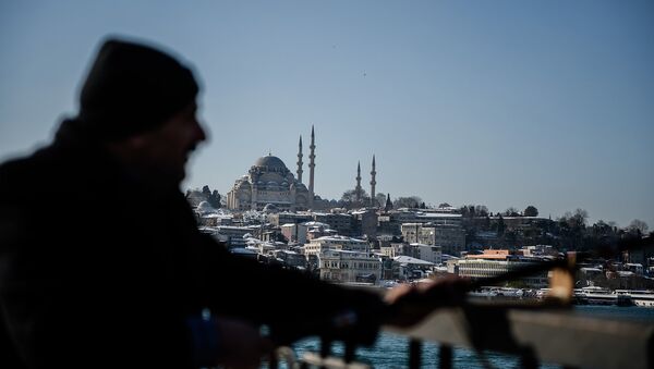 Турция. Анкара. Синяя мечеть - Sputnik Армения