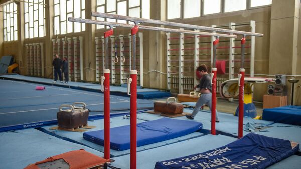 Брусья в тренировочном зале школы олимпийского резерва по гимнастике имени Альберта Азаряна - Sputnik Армения