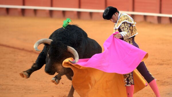 Испанский тореадор Дэвид Фандила Эль Фанди выполняет пас быку с капоте во время боя быков (11 мая 2019). Севилья - Sputnik Армения