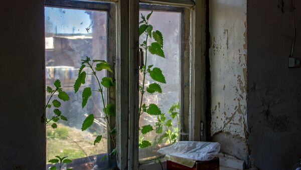 Комната в обрушенном доме в селе Хнаберд, Арагацотн - Sputnik Արմենիա