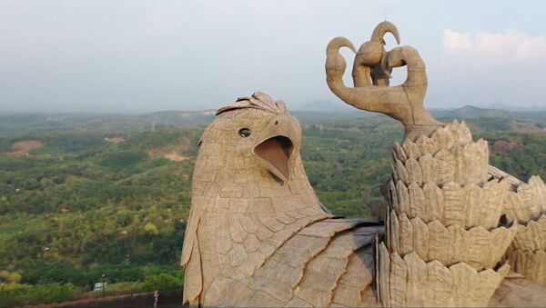 Дрон в Индии снял самую большую статую птицы на планете - Sputnik Армения