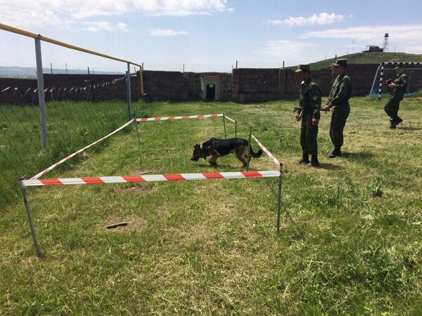 Хочешь мира...: российские пограничники показали свои умения армянским школьникам Хочешь мира...: российские пограничники показали свои умения армянским школьникам - Sputnik Армения