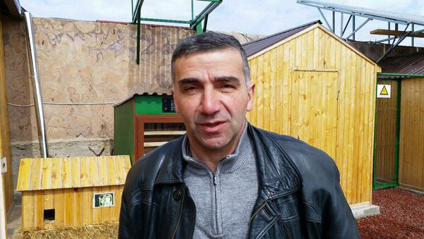 Гарник Гулканян, пчеловод, производитель органического меда из г. Ноемберян - Sputnik Армения