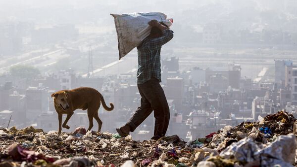 Индиец отбирает вещи на переработку в Нью-Дели, Индия - Sputnik Армения