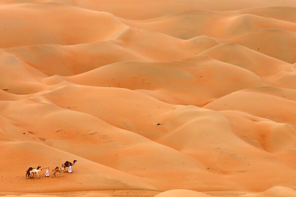 Мужчины с верблюдами проходят через пустыню Хамим, Абу-Даби - Sputnik Армения