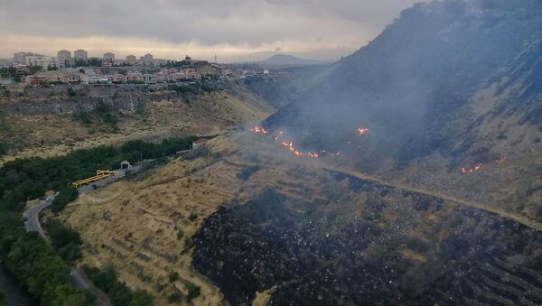 Пожар в Разданском ущелье около Давташенского моста - Sputnik Армения