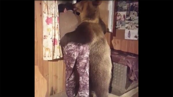 Медведь обнимает мужика - Sputnik Արմենիա