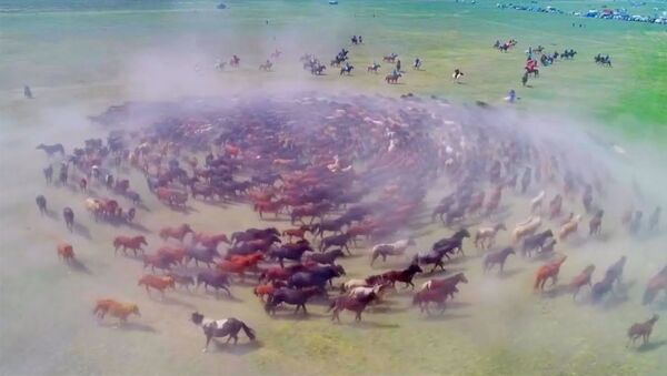 Впечатляющие кадры с дрона: сотни лошадей пробежались по спирали на фестивале - Sputnik Армения