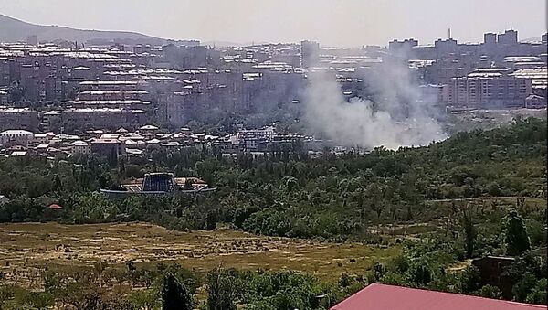 Пожар в Ботаническом саду (13 июля 2019). Ереван - Sputnik Արմենիա