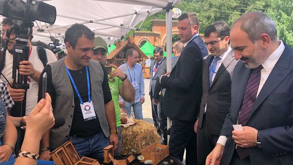 Члены правительства во главе с премьер-министром Николом Пашиняном на бизнес-форуме Мой шаг во имя Ширака (20 июля 2019). Гюмри - Sputnik Армения