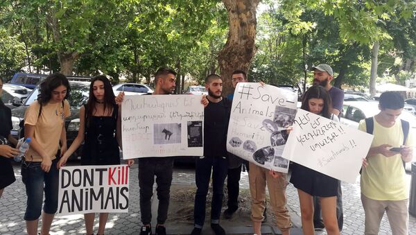 Акция протеста перед зданием парламента (23 июля 2019). Еревaн - Sputnik Армения