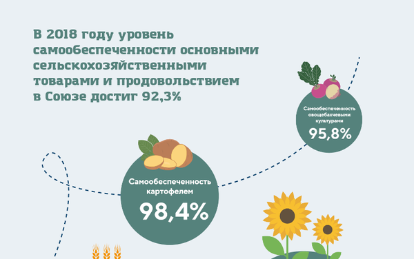 ЕЭК - Прод. безопасность ЕЭК - Прод. безопасность - Sputnik Армения