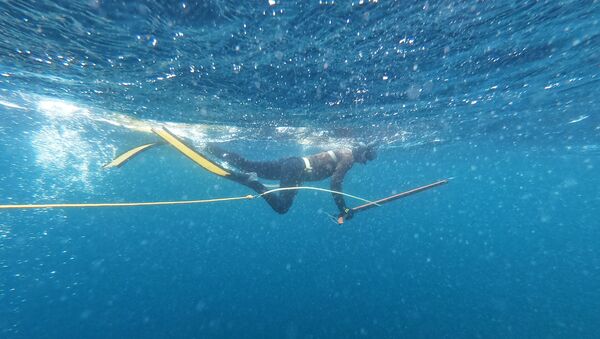 Закрытие соревнований по подводной охоте на «Кубок Тихого океана» - Sputnik Армения