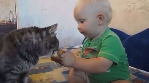 Дележ по-братски: малыш поделился булочкой с котом - Sputnik Армения