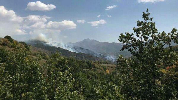 Лесной пожар близ сел Личк и Таштун (21 сентября 2019). Сюник - Sputnik Արմենիա