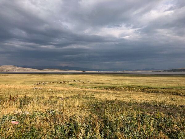 Ստորգետնյա անցում դեպի Անի և ամենավտանգավոր օձը. ինչ կա Շիրակում, որ չկա ուրիշ ոչ մի տեղ Ստորգետնյա անցում դեպի Անի և ամենավտանգավոր օձը. ինչ կա Շիրակում, որ չկա ուրիշ ոչ մի տեղ - Sputnik Արմենիա