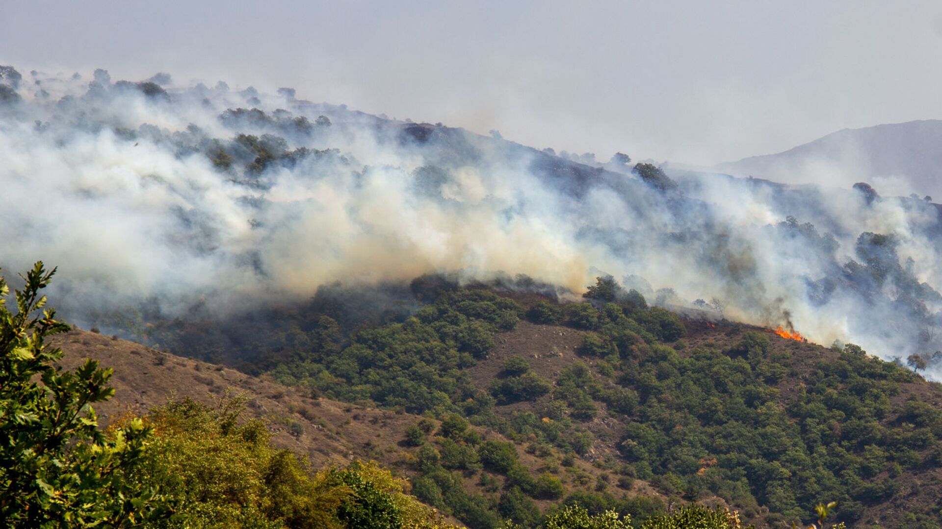 Лесной пожар близ сел Личк и Таштун (21 сентября 2019). Сюник - Sputnik Արմենիա, 1920, 14.09.2022