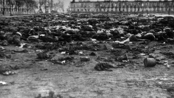 Великая Отечественная война 1941-1945 гг. Советские военнопленные, расстрелянные фашистами в концлагере перед отступлением. - Sputnik Армения