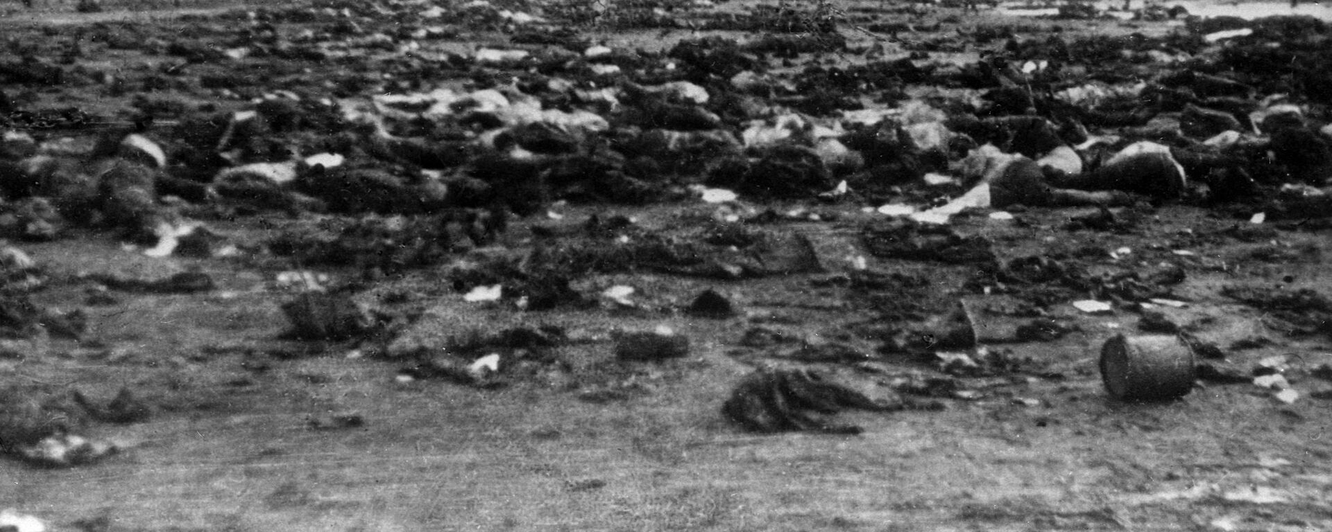 Великая Отечественная война 1941-1945 гг. Советские военнопленные, расстрелянные фашистами в концлагере перед отступлением. - Sputnik Армения, 1920, 20.10.2021