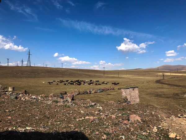 Սառը, բայց ոչ անհոգի․ ինչով են ապրում Հայաստանի հեռավոր հյուսիսում Սառը, բայց ոչ անհոգի․ ինչով են ապրում Հայաստանի հեռավոր հյուսիսում - Sputnik Արմենիա