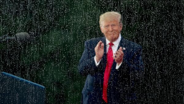 Президент США Дональд Трамп во время празднования Дня Независимости перед мемориалом Линкольна (4 июля 2019). Вашингтон - Sputnik Արմենիա