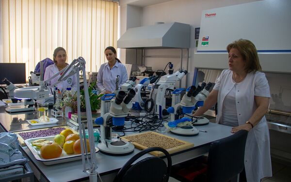 Республиканский ветеринарно-санитарный и фитосанитарный центр лабораторных услуг - Sputnik Армения