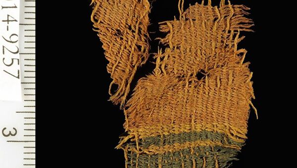 Археологи нашли ткани времен царей Соломона и Давида в Израиле - Sputnik Армения