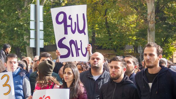 Акция протеста против министра Араика Арутюняна (7 ноября 2019). Еревaн - Sputnik Արմենիա