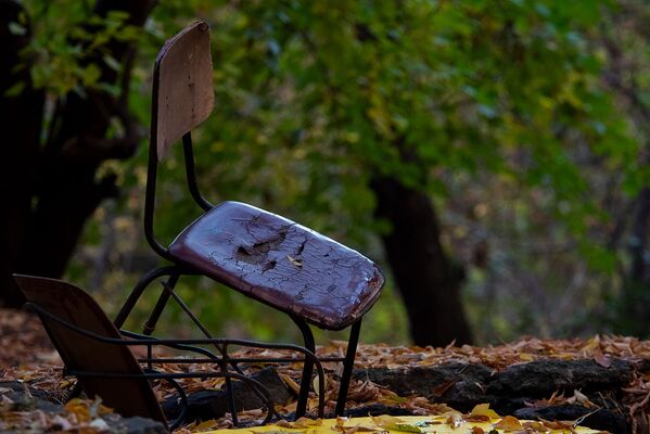 Заброшенный стул в осеннем парке - Sputnik Армения