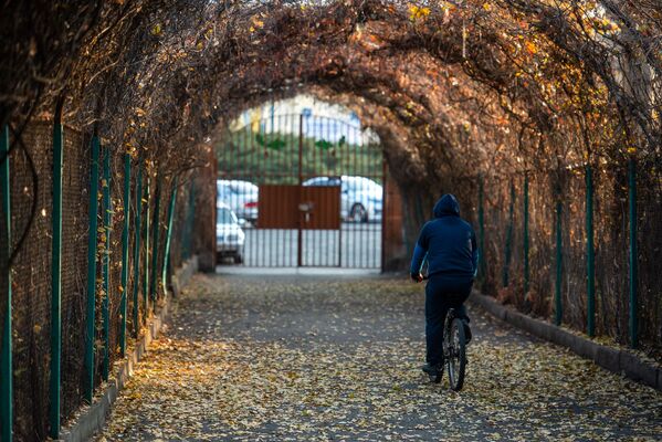 Велосипедист в ботаническом саду - Sputnik Армения