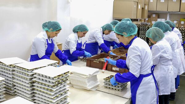 Сотрудницы шоколадной фабрики во время работы - Sputnik Արմենիա