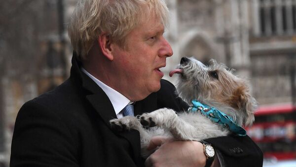 Премьер-министр Великобритании Борис Джонсон со своей собакой Дилин после голосования на всеобщих выборах в Методистском центральном зале (12 декабря 2019). Лондон - Sputnik Արմենիա