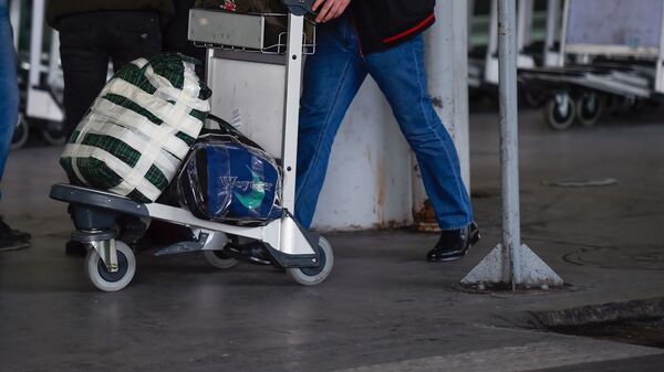 Пассажир с тележой для багажа в аэропорту Звартноц - Sputnik Армения