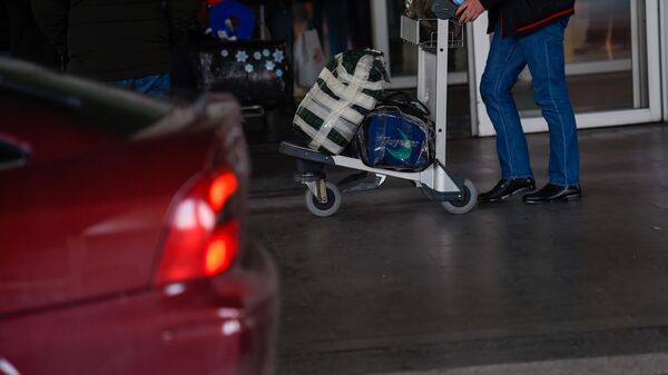 Пассажир с тележой для багажа в аэропорту Звартноц - Sputnik Արմենիա