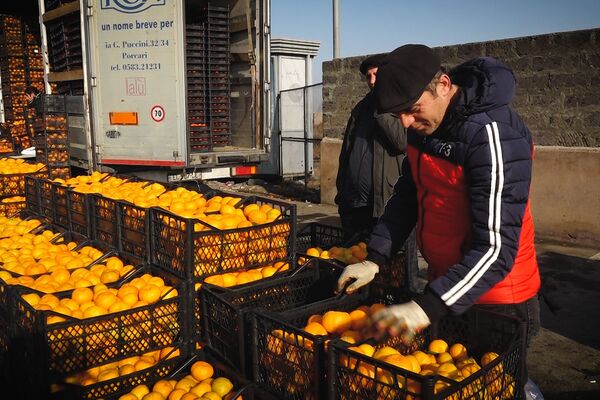 На рынке «Меймандар» есть мандарины на любой вкус  - Sputnik Армения