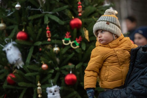 Мальчик у елки во время праздничного мероприятия в Ереванском зоопарке Мальчик у елки во время праздничного мероприятия в Ереванском зоопарке - Sputnik Армения