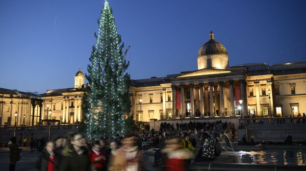 Главная рождественская ель в Лондоне - Sputnik Արմենիա