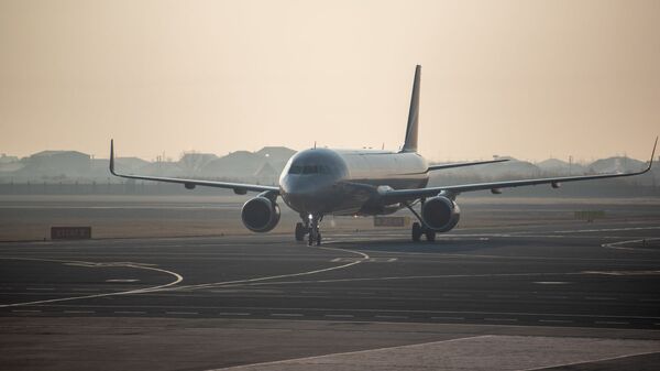 Самолет юбилейного рейса Ереван - Москва приземляется в аэропорту Звартноц (30 декабря 2019). Ереван - Sputnik Армения