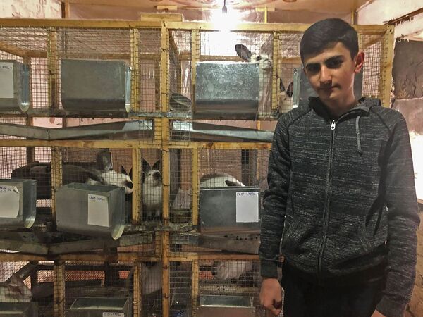 Փաշինյանն օգնեց նպատակասլաց գյումրեցուն, կամ 15-ամյա ֆերմերն ու ճագարի բիզնեսը Հայաստանում Փաշինյանն օգնեց նպատակասլաց գյումրեցուն, կամ 15-ամյա ֆերմերն ու ճագարի բիզնեսը Հայաստանում - Sputnik Արմենիա