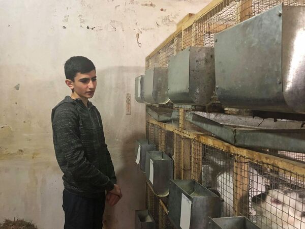 Փաշինյանն օգնեց նպատակասլաց գյումրեցուն, կամ 15-ամյա ֆերմերն ու ճագարի բիզնեսը Հայաստանում Փաշինյանն օգնեց նպատակասլաց գյումրեցուն, կամ 15-ամյա ֆերմերն ու ճագարի բիզնեսը Հայաստանում - Sputnik Արմենիա