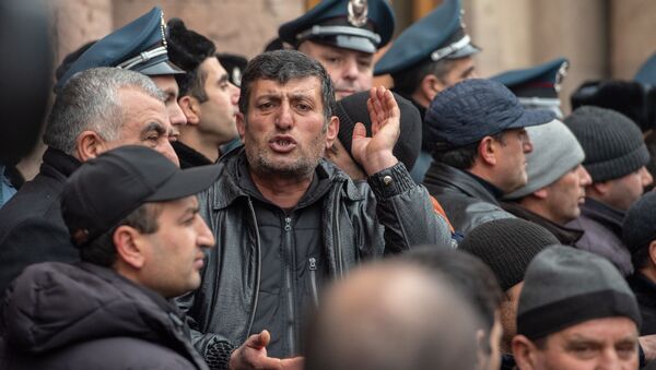 Акция протеста фермеров у Дома правительства (20 января 2020). Еревaн - Sputnik Армения