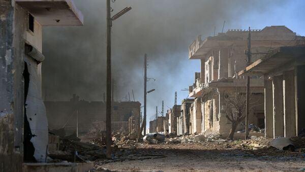 Сирийская армия освободила от ИГ три деревни в провинции Идлиб на севере Сирии (25 января 2020). - Sputnik Армения