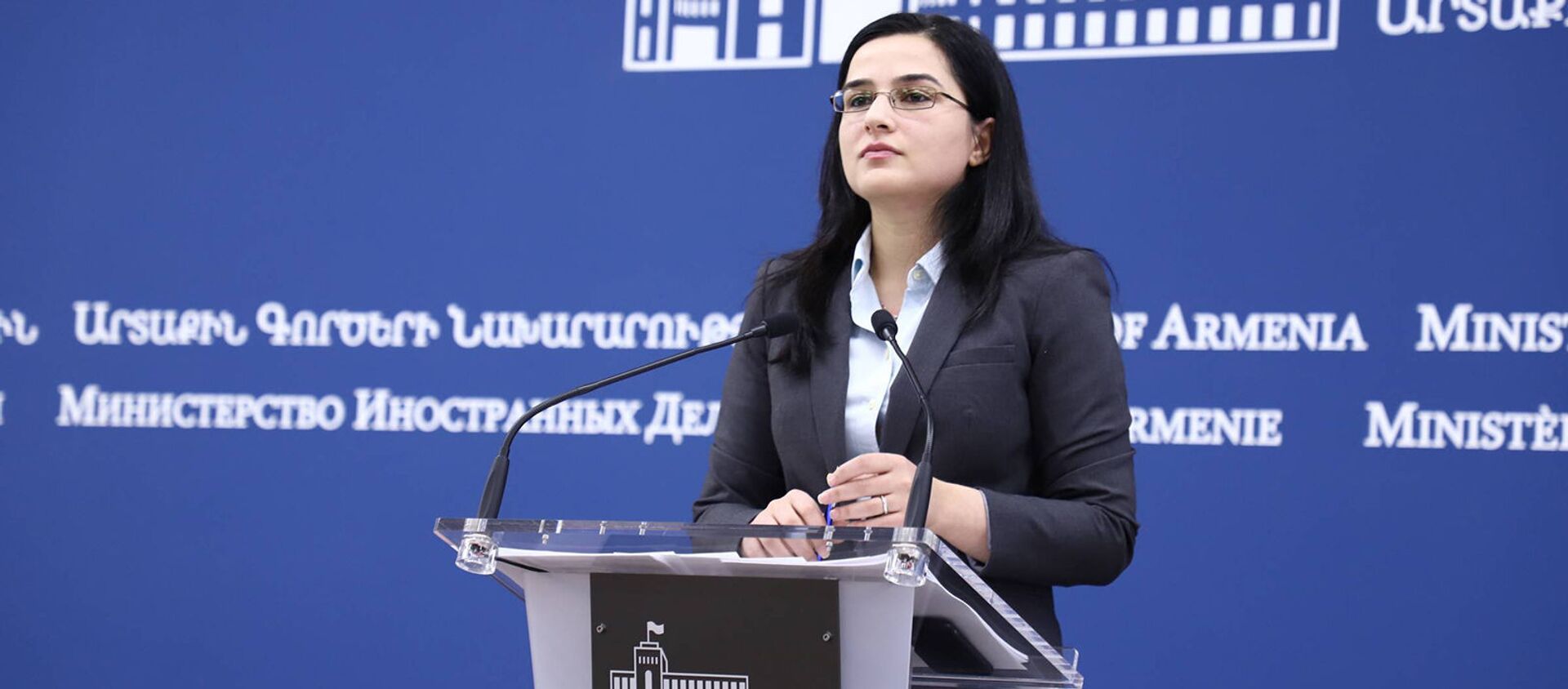 Пресс-конференция спикера МИД Армении Анны Нагдалян - Sputnik Армения, 1920, 07.01.2021